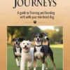 Dog Training Journeys