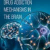 Drug Addiction Mechanisms in the Brain