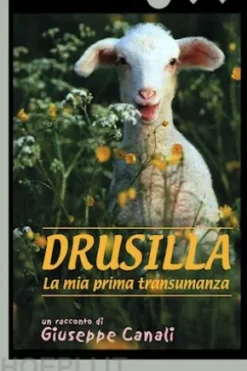 Drusilla, la mia prima transumanza