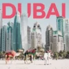 Dubai Pocket