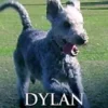 Dylan