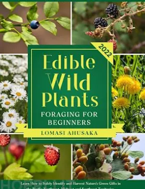 Edible Wild Plants Foraging for Beginners