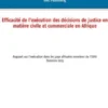 Efficacité de l'exécution des décisions de justice en matière civile et commerciale en Afrique
