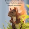 Eichhörnchen im Garten / Squirrels in my garden