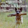 "... eigentlich wollte ich keinen Hund!",