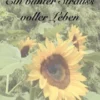 Ein bunter Strauss voller Leben