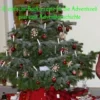 10 einfache Backrezepte für die Adventszeit plus eine Adventsgeschichte