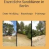 Eiszeitliche Sanddünen in Berlin