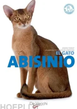 El gato Abisinio