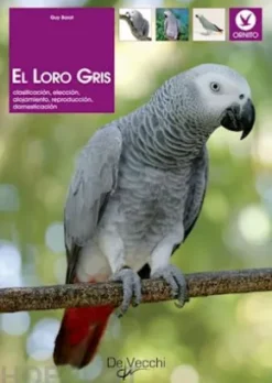 El loro gris