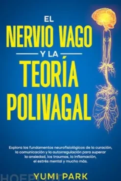 El Nervio Vago Y La Teoría Polivagal