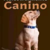 El arte del adiestramiento canino