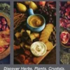 Encyclopedia of Wicca in the Kitchen