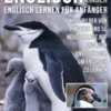 Englisch Für Kinder - Englisch Lernen Für Anfänger