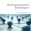 Entrepreneurial Strategies