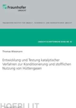 Entwicklung und Testung katalytischer Verfahren zur Konditionierung und stofflichen Nutzung von Hüttengasen