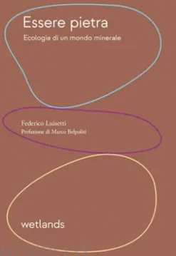 Essere pietra