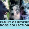 Family Of Rescue Dogs Collection