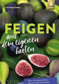 Feigen aus dem eigenen Garten