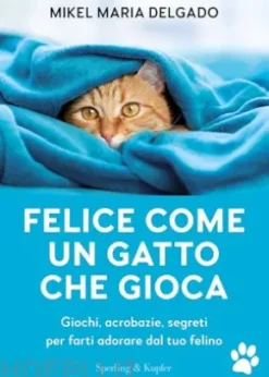 Felice come un gatto che gioca