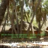 Felsgravuren und das Paradies am Kunene