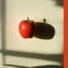 Find Shadow Teacher