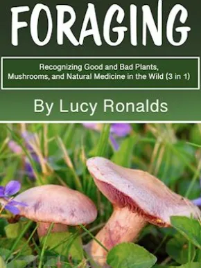 Foraging