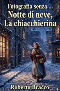 Fotografia senza.... - Notte di neve - La chiacchierina