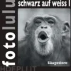 fotolulu schwarz auf weiss I