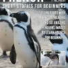 French Short Stories for Beginners - English French