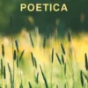 Frenesia poetica