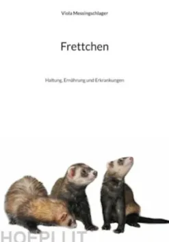 Frettchen