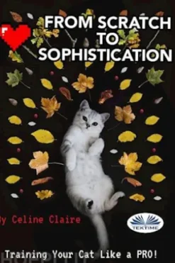 From Scratch To Sophistication