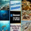 Fun Facts about Sea Turtles and Tortoises