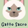 Gatto Sacro di Birmania