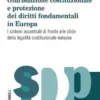 Giurisdizione costituzionale e protezione dei diritti fondamentali in Europa