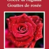 Gocce di ruggiada - Gouttes de rosée