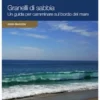 Granelli di sabbia