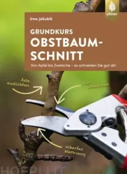 Grundkurs Obstbaumschnitt
