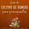 Guía de cultivo de hongos para principiantes