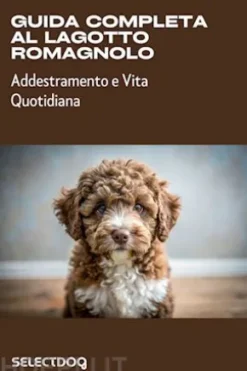 Guida completa al Lagotto Romagnolo