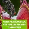 Guide pratique de la culture des plantes carnivores