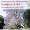 Heartburn naturally treated with Homeopathy and Schuessler salts (homeopathic cell salts)