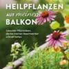 Heilpflanzen auf meinem Balkon