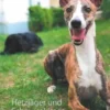 Hetzjäger und Schmusekissen