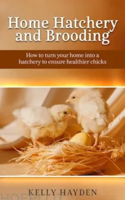 Home Hatchery and Brooding
