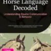 Horse Language Decoded: Understanding Equine Communication & Behavior
