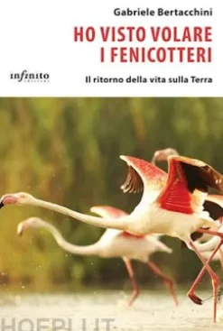 Ho visto volare i fenicotteri