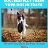 How to Successful Train Your Dog in 7days