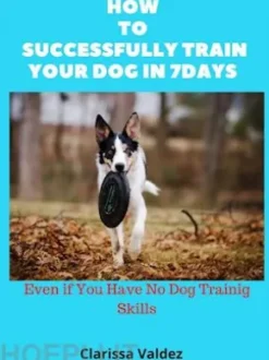 How to Successful Train Your Dog in 7days